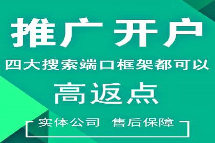 百度竞价代理全攻略：成功案例分享